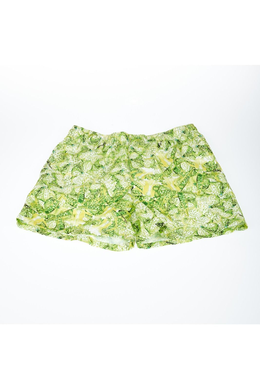 Just Cavalli Beachwear Men Swimwear Green